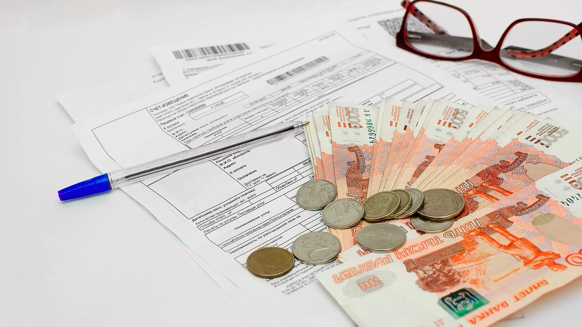 Фото: NataVilman/shutterstock.com