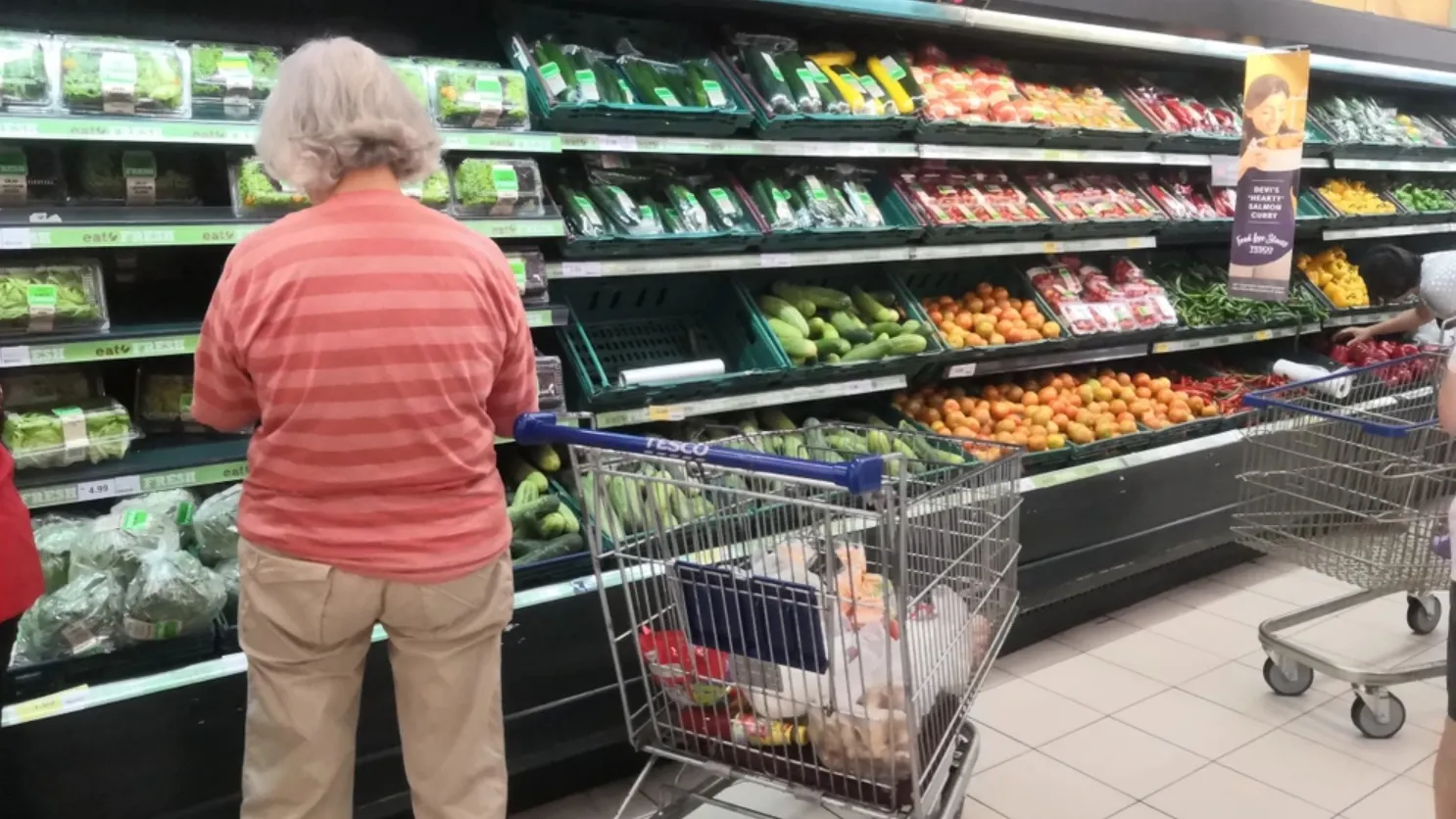 Фото: BARKEH SAID/shutterstock.com/Fotodom