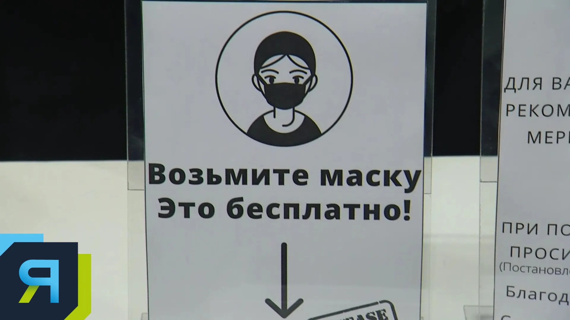 Фото: скрин из видео АНО "Ямал-Медиа"