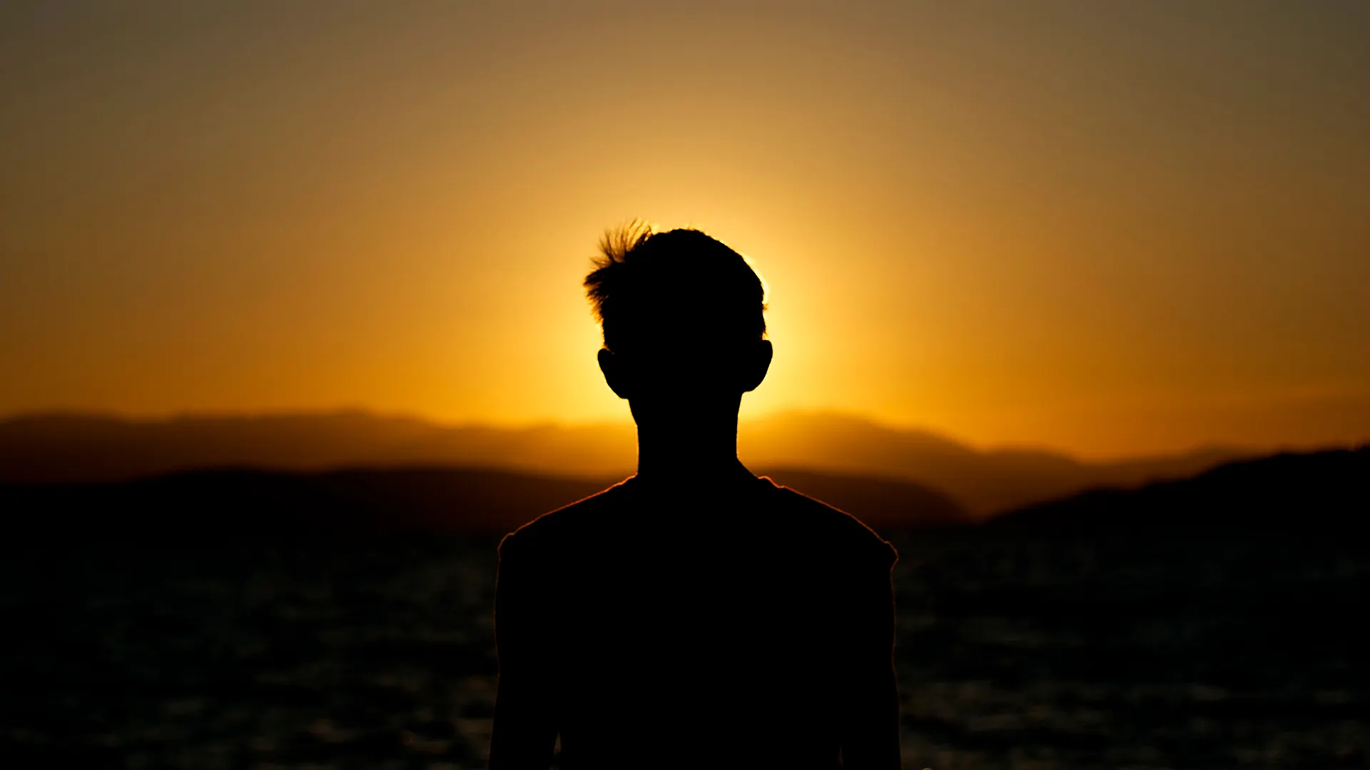 Фото: noxphotos.com /Shutterstock.com