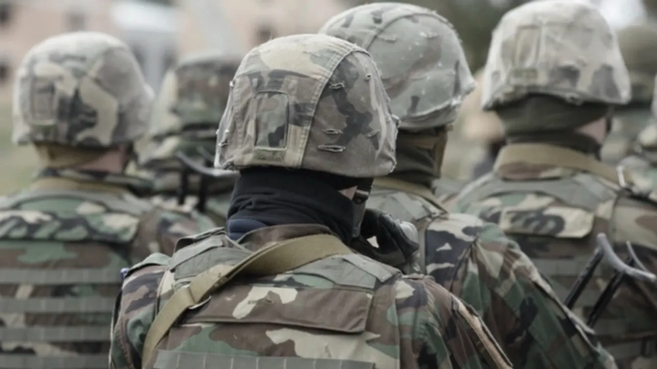 Фото: Bumble Dee/Shutterstock/Fotodom