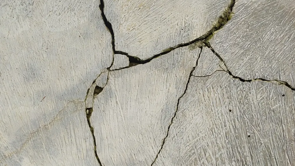 Фото: Agungbadawi/Shutterstock/Fotodom