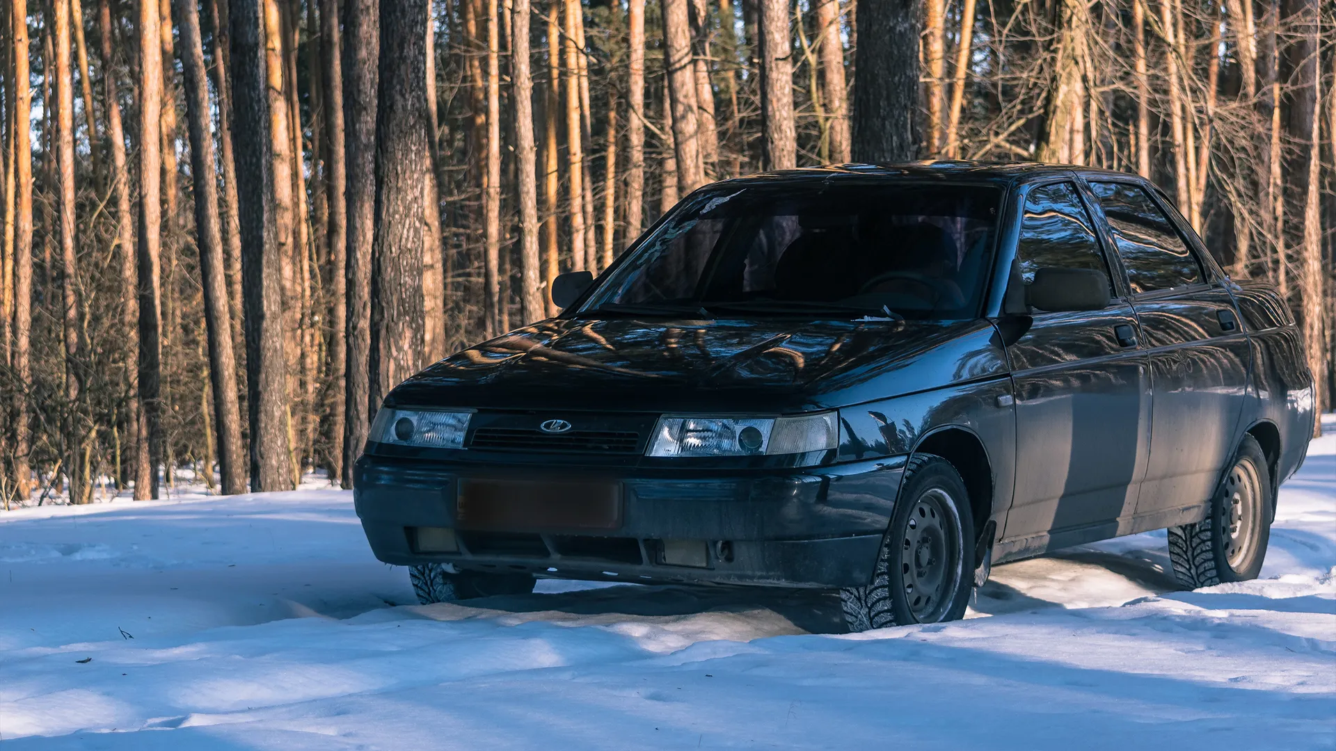 Фото: S ch/Shutterstock.com