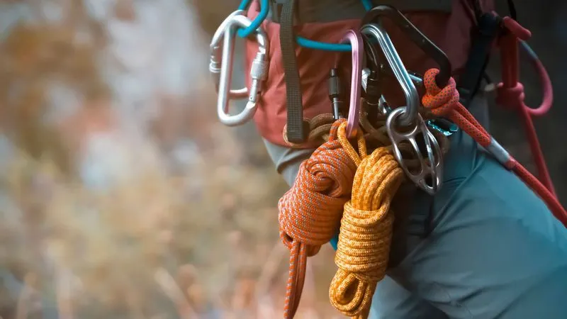 Фото: africa_pink/Shutterstock/Fotodom