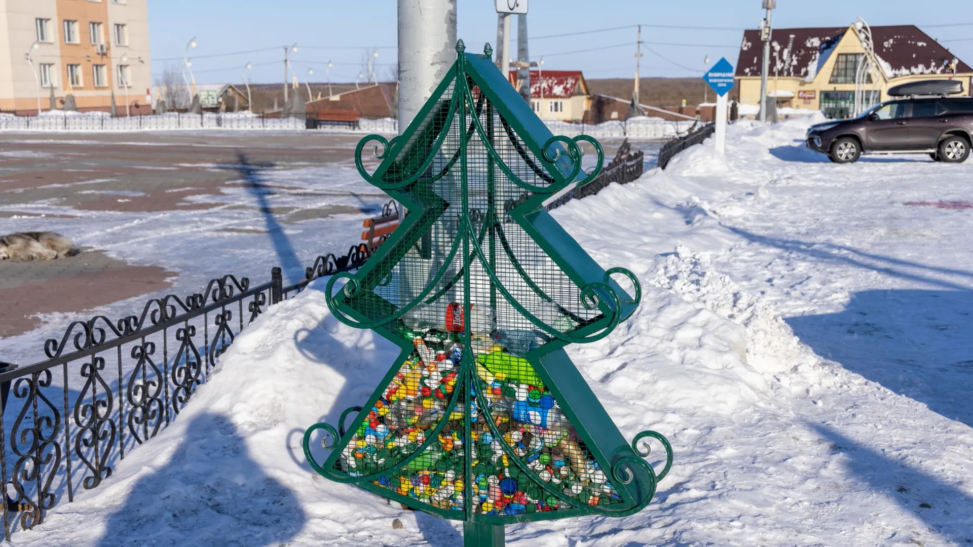 Фото: Сергей Зубков/«Ямал-Медиа»