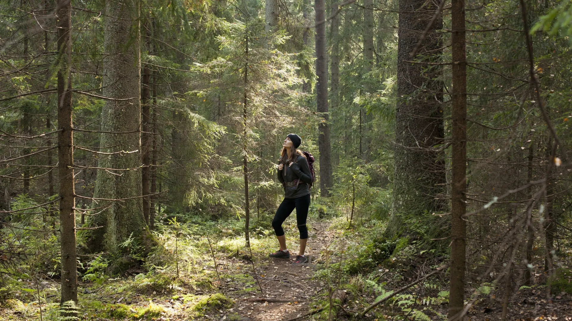 Фото: Connect Images — Curated/Shutterstock/Fotodom