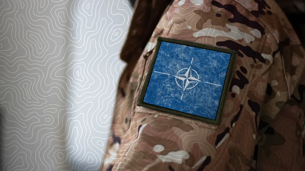 Фото: Fly Of Swallow Studio/Shutterstock/Fotodom