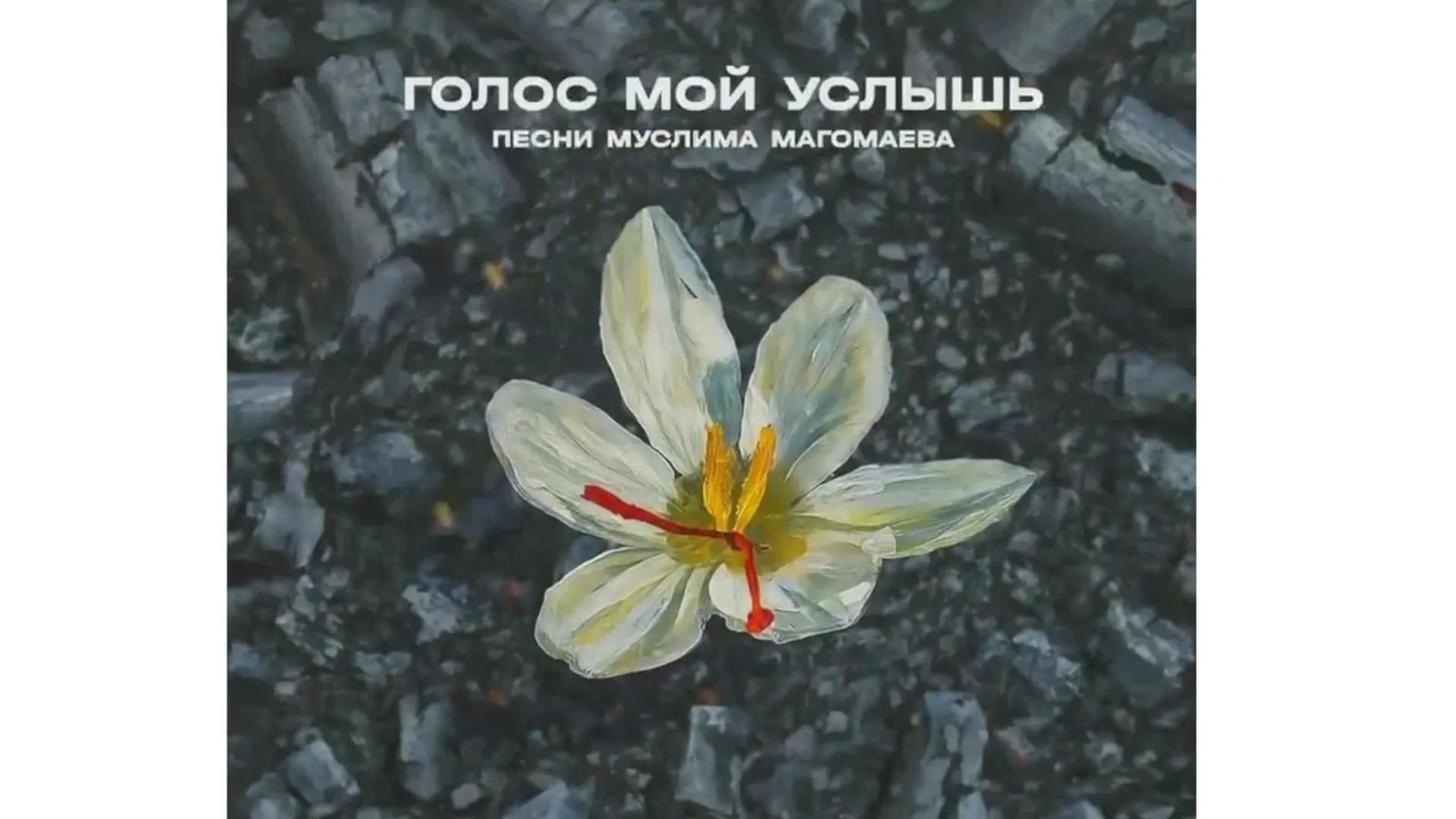 Фото предоставлено организаторами проекта