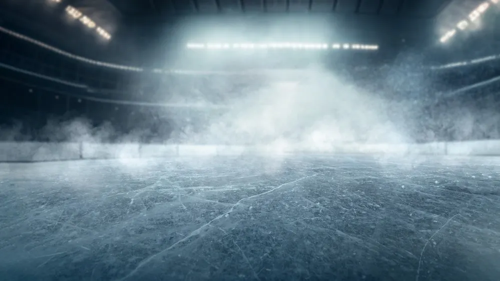 Фото: Igor Link/Shutterstock/Fotodom