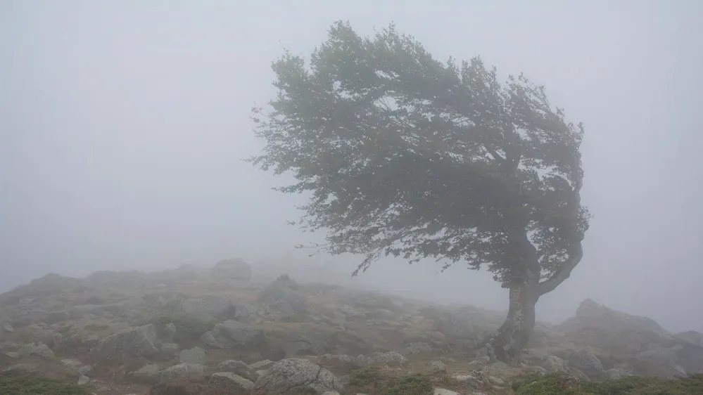 Скорость ветра в эпицентре циклона на Филиппинах достигала 201 километра в час. Фото: SingerGM/Shutterstock/Fotodom