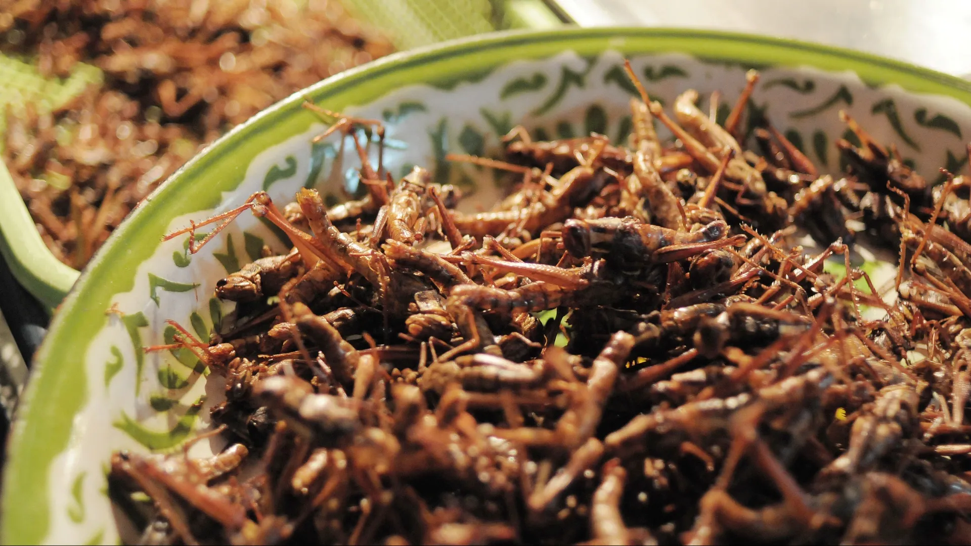 Фото: kaykhoon/Shutterstock/Fotodom