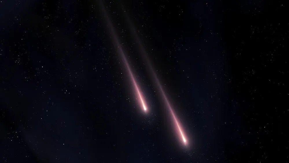 Фото: Nazarii_Neshcherenskyi/Shutterstock/Fotodom