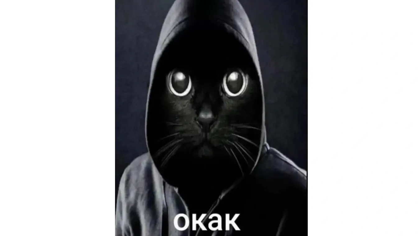 Фото: скриншот из VK Видео «Окак (мем с котом в капюшоне)_original»