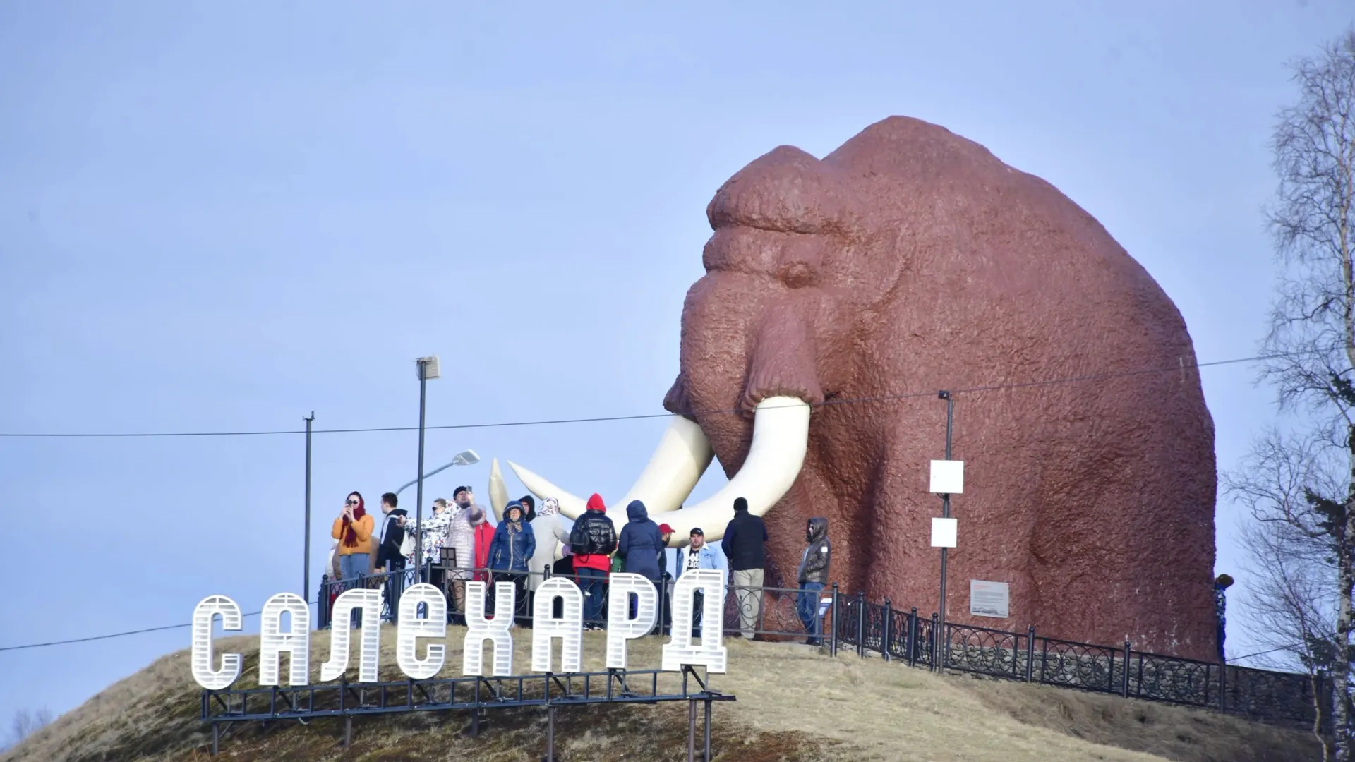 Фото: Андрей Ткачев/«Ямал-Медиа»