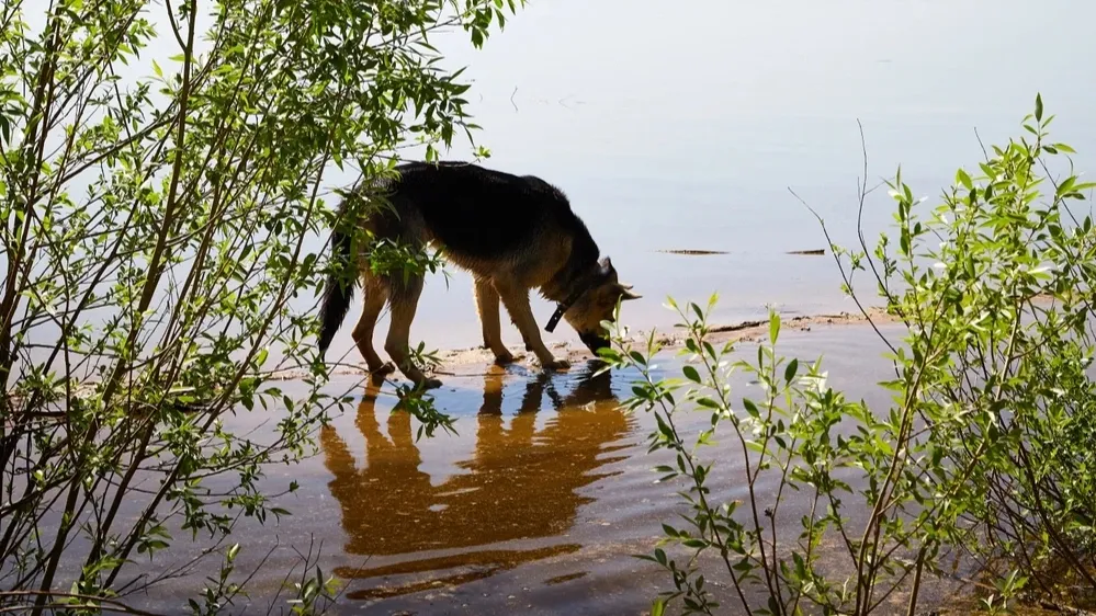 Фото: KELENY/shutterstock.com