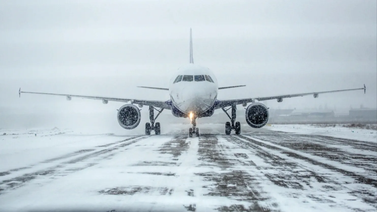 Фото: Alexey Lesik/shutterstock.com/Fotodom