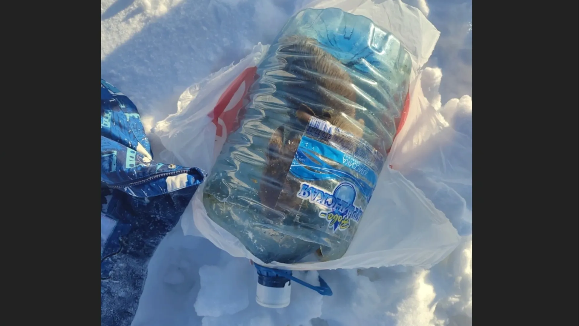 Фото: vk.com/zloynadym