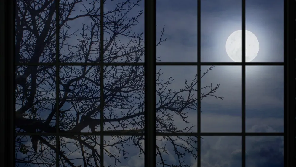 Фото: Alexandr Belous/Shutterstock/Fotodom