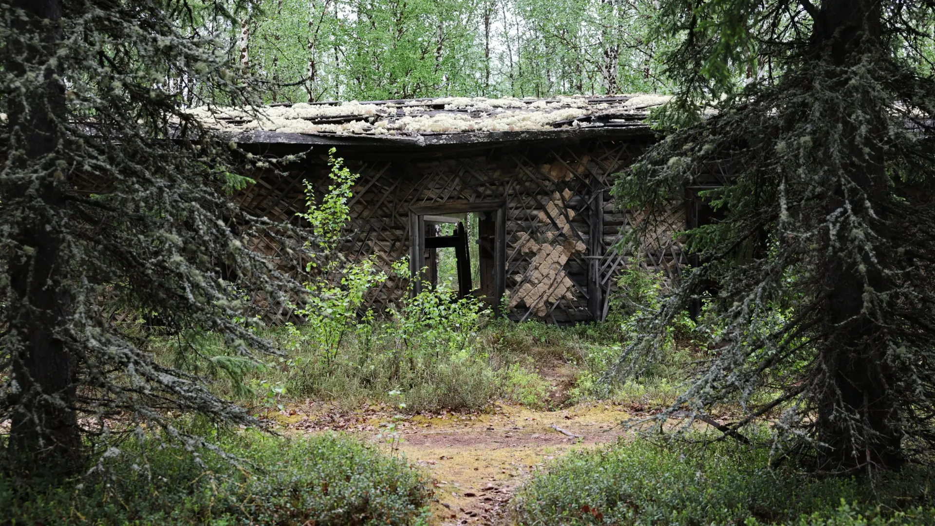pic