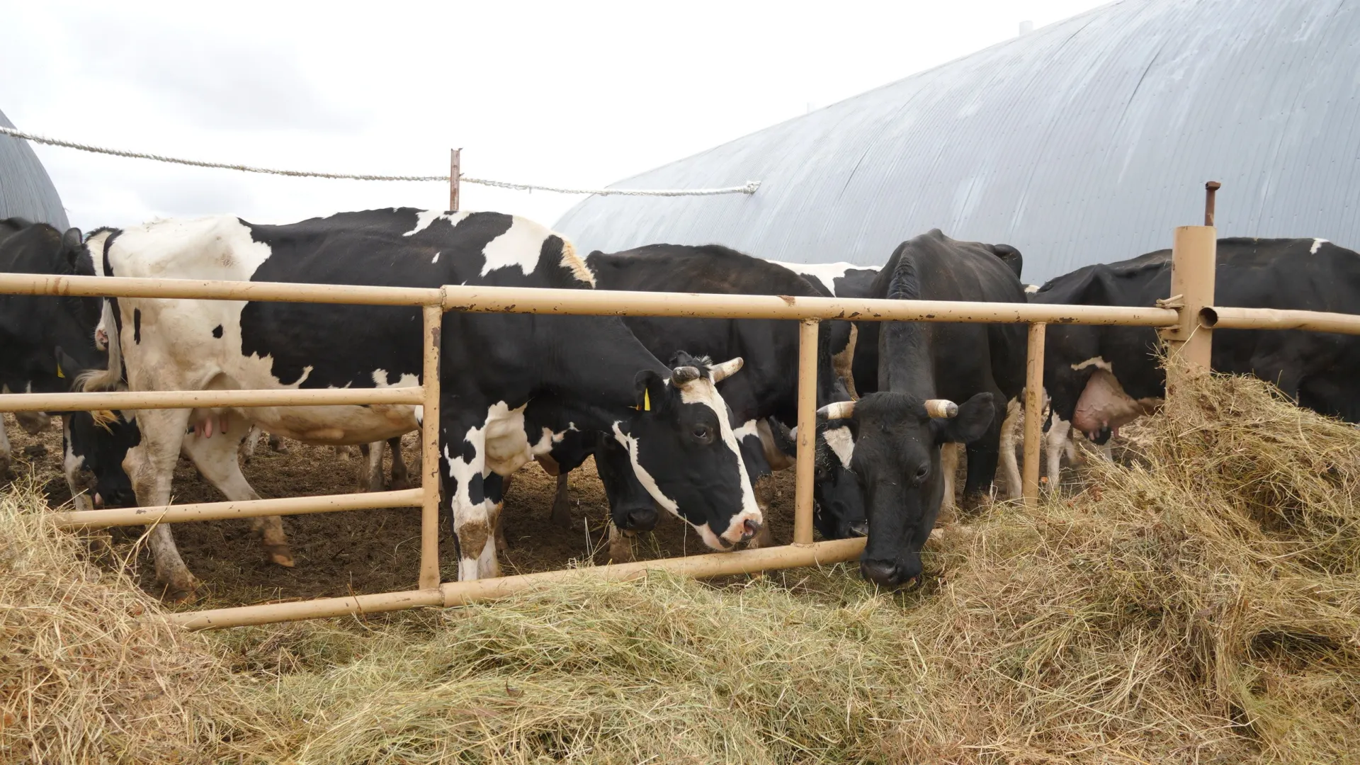 Фото: Юлия Чудинова/АНО «Ямал-Медиа»