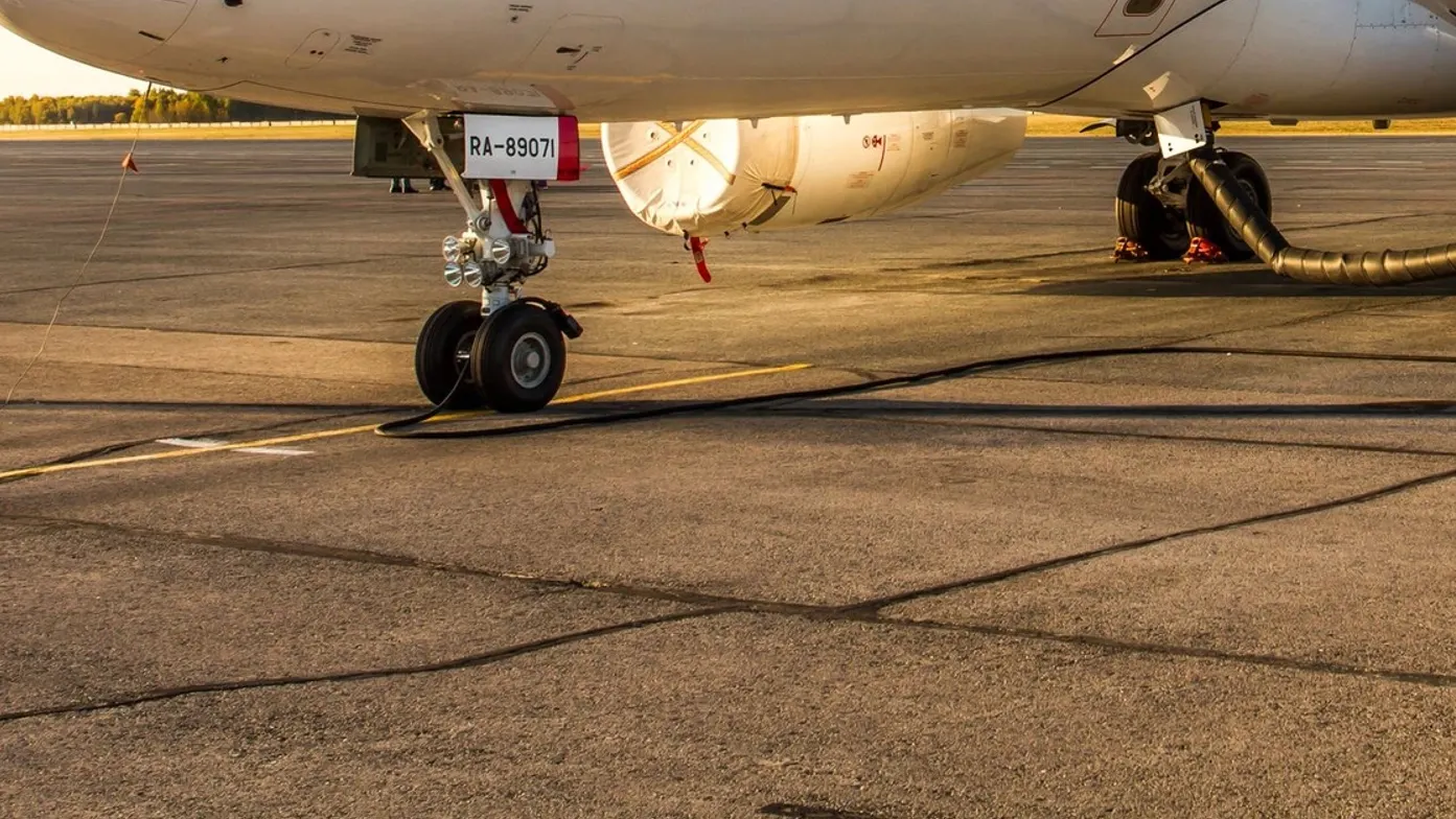 Фото: v1rotate/Shutterstock/Fotodom