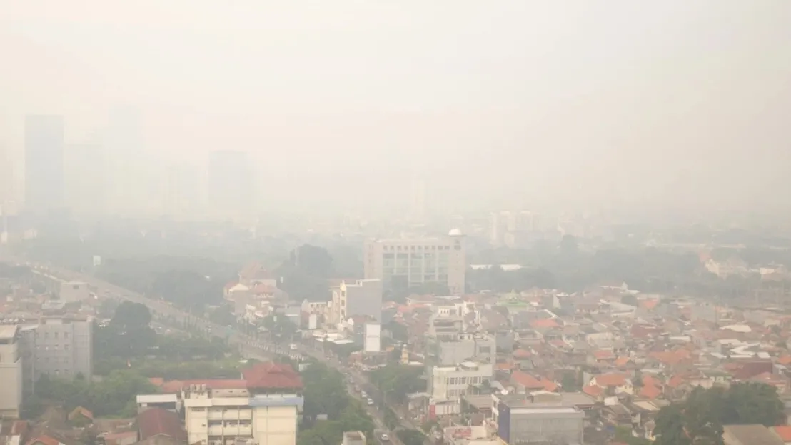 Фото: Asyraf_Rasid/shutterstock.com