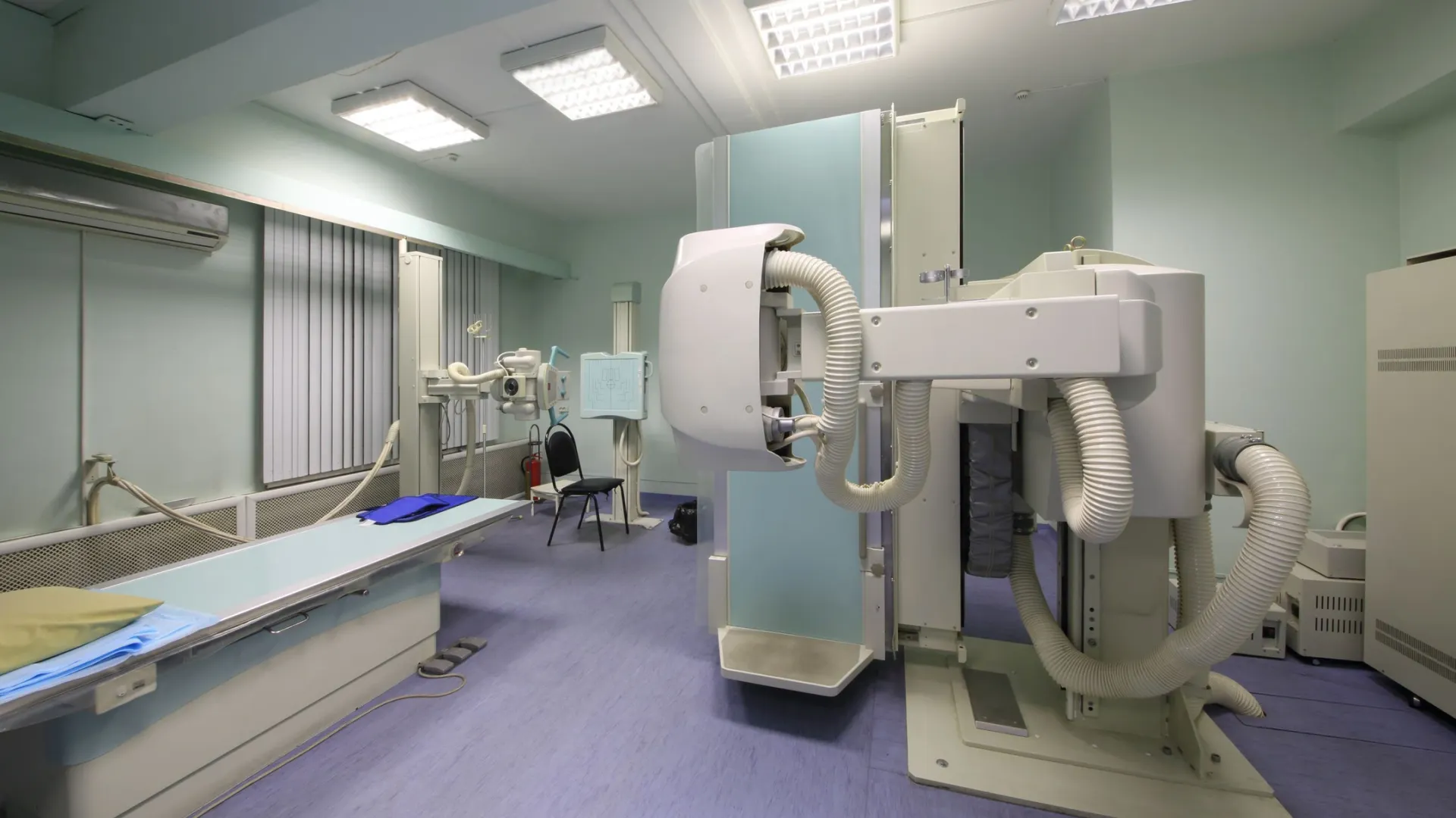 Фото: Pavel L Photo and Video/Shutterstock/Fotodom