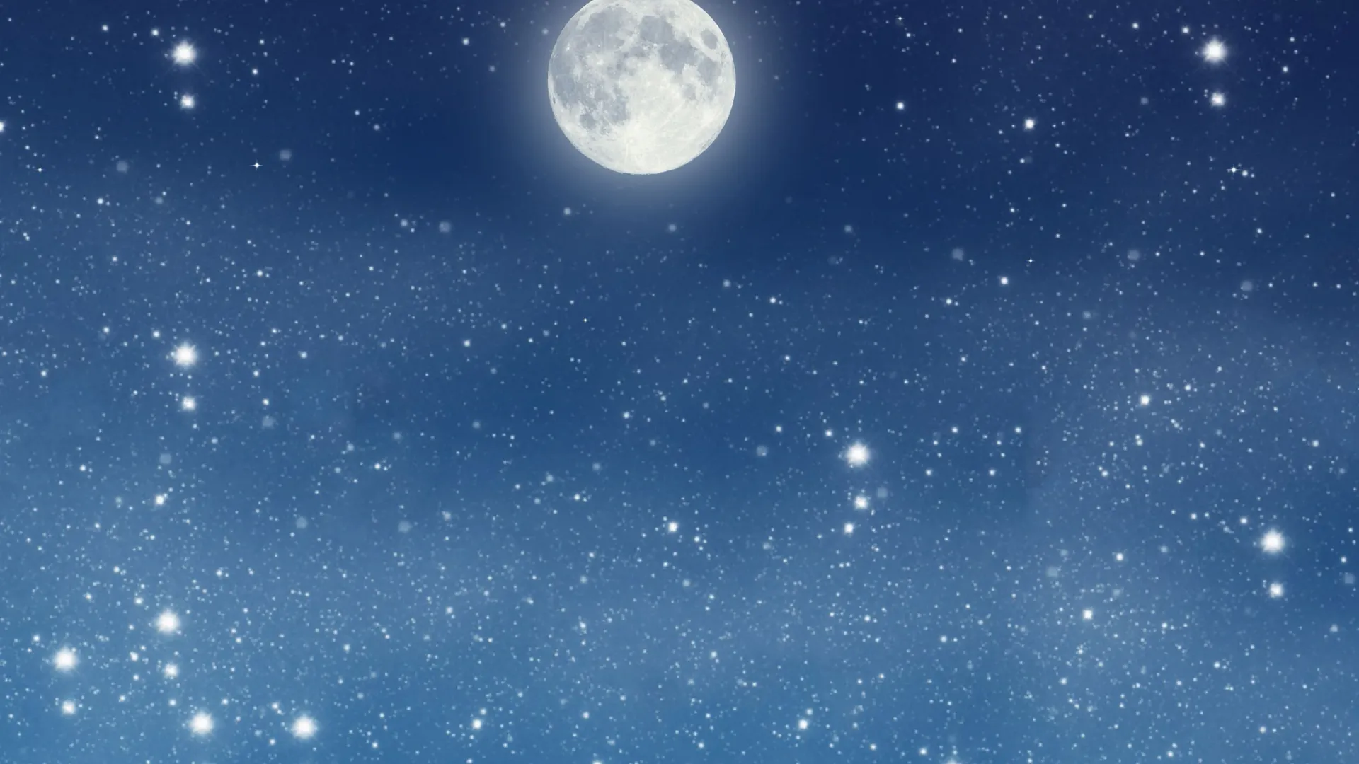 Фото: Volha Vasilevich/Shutterstock