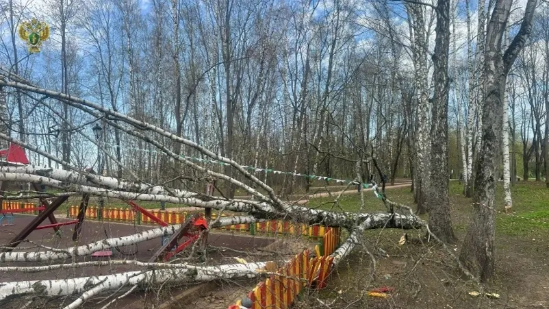 Фото: прокуратура Московской области