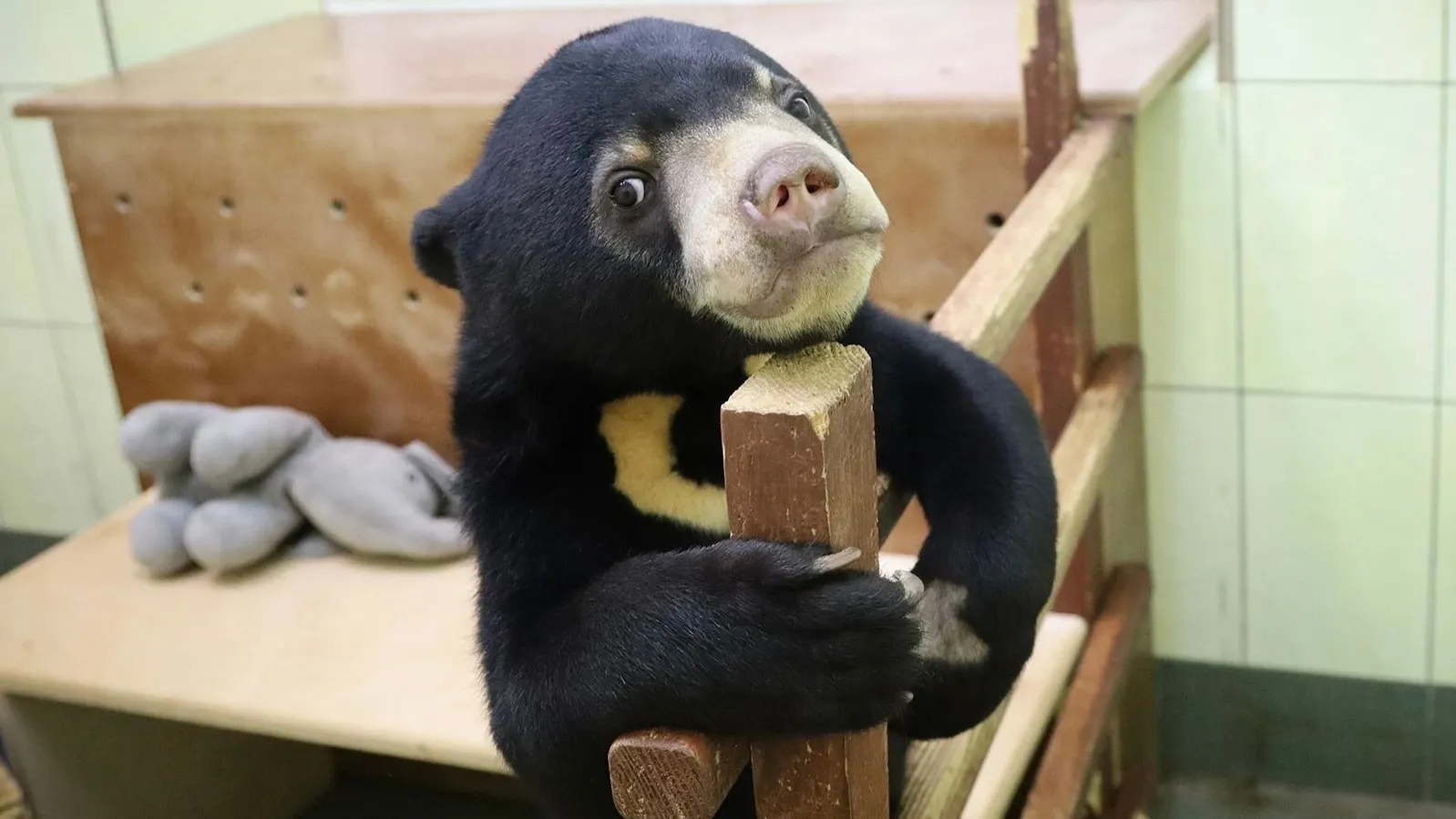 Фото: www.mos.ru