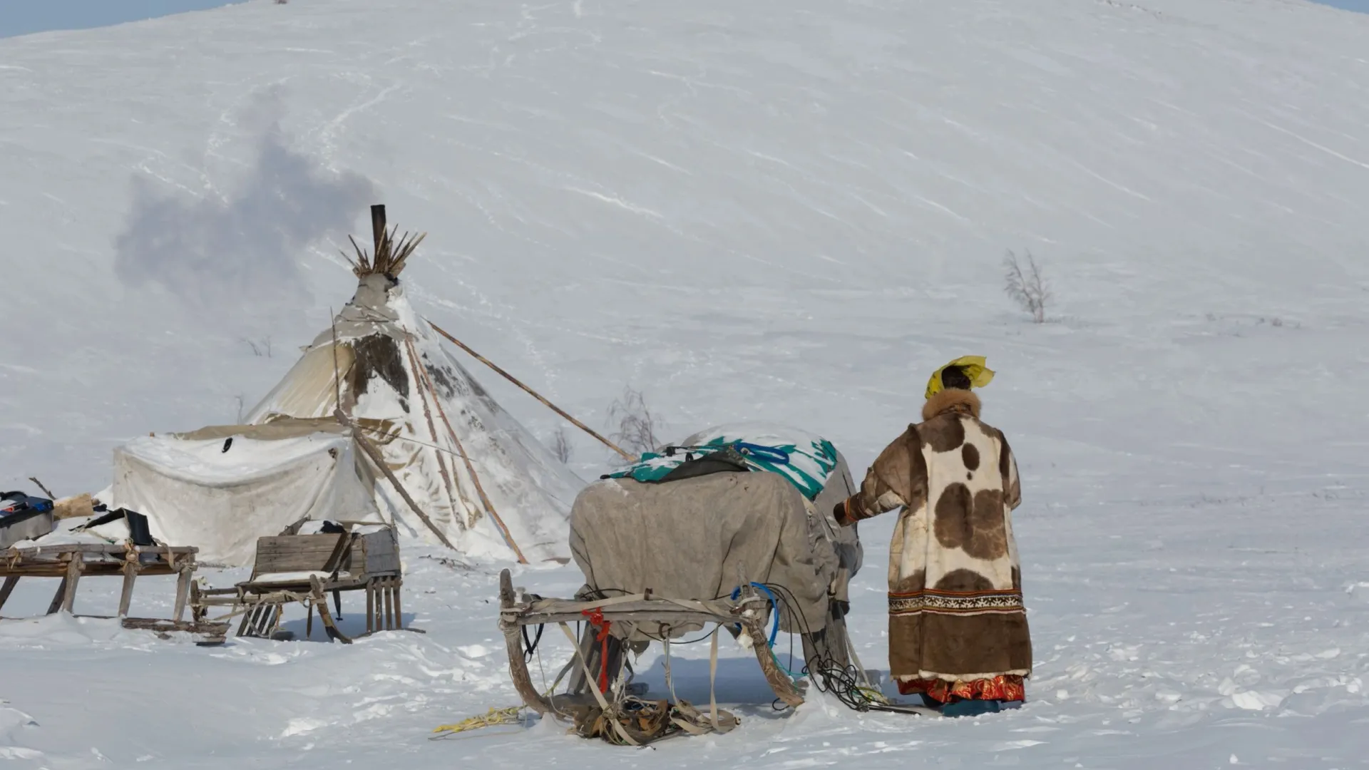 Фото: Shchipkova Elena/Shutterstock/Fotodom