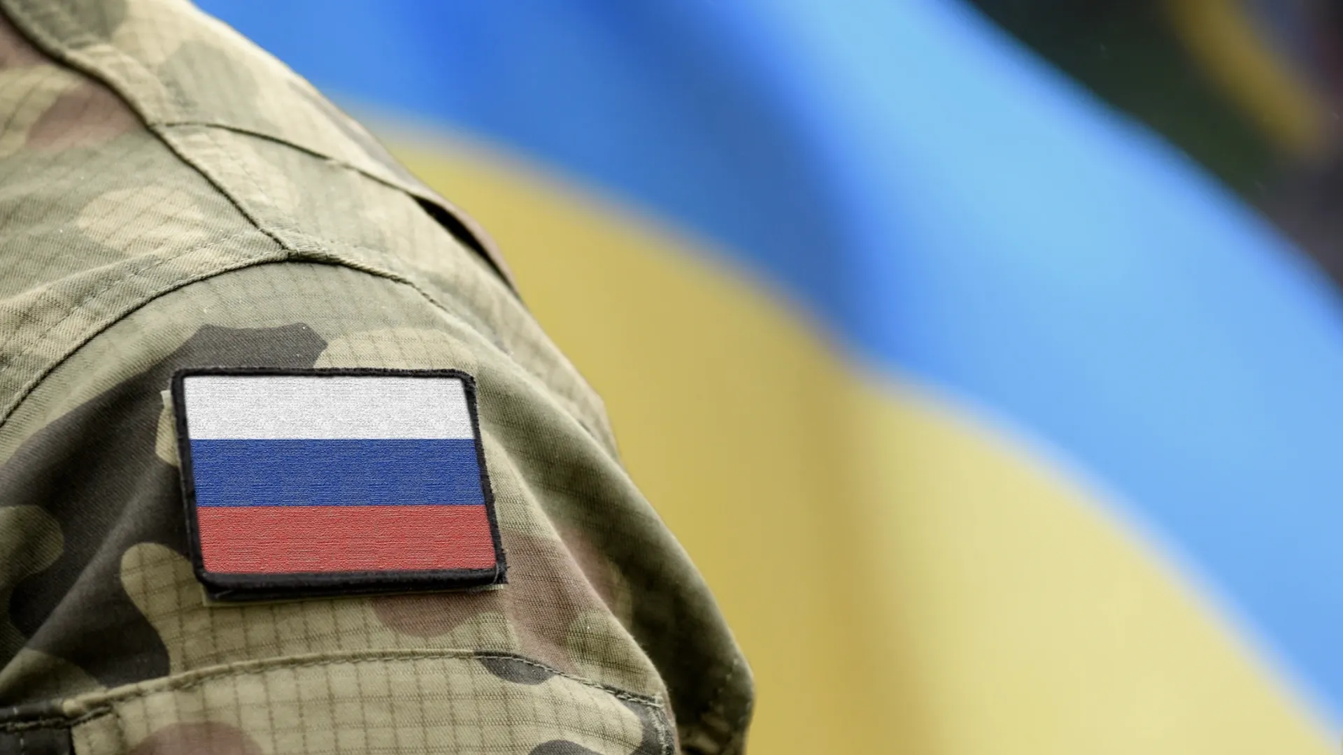 Фото: Bumble Dee/Shutterstock/Fotodom