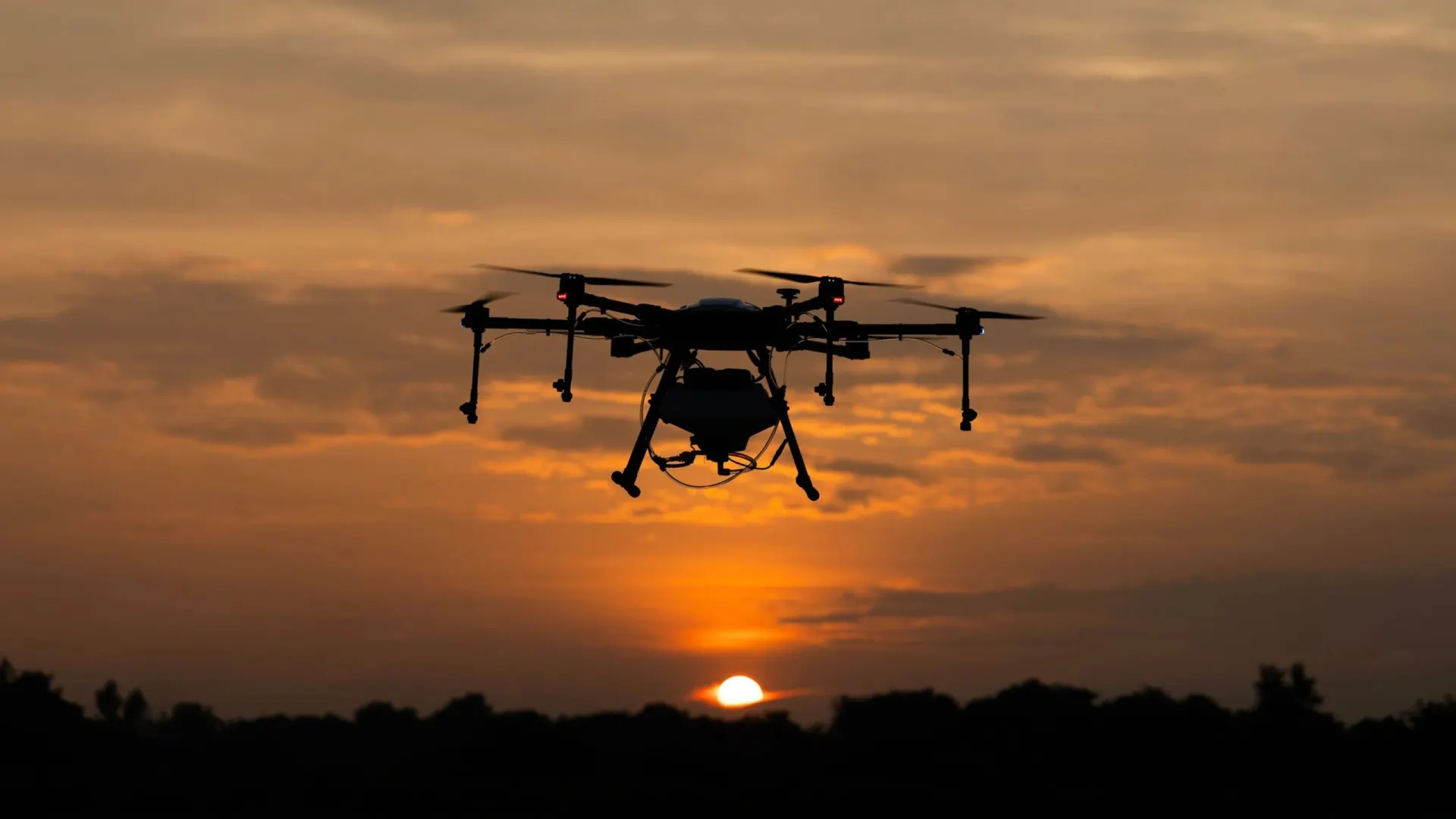 Фото: SuriPics168/Shutterstock/Fotodom