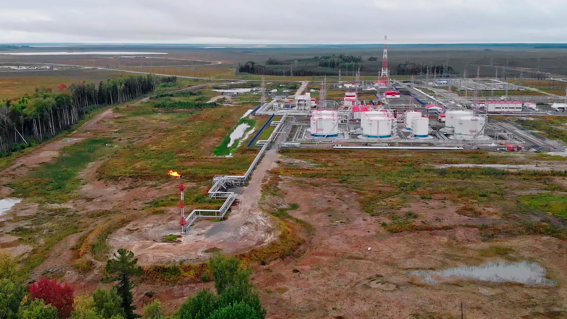 Фото: I.K.Media/shutterstock.com