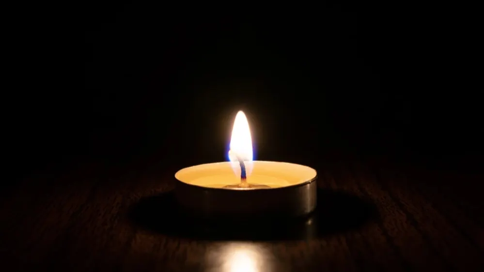 Фото: Dmitriy Yermishin/Shutterstock/Fotodom