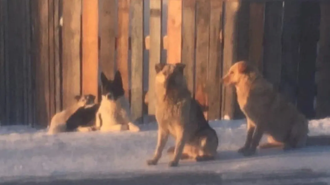 Фото: vk.com/hearsalehard