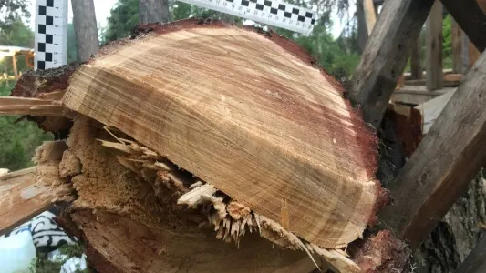 Фото: СУ СКРФ по ЯНАО