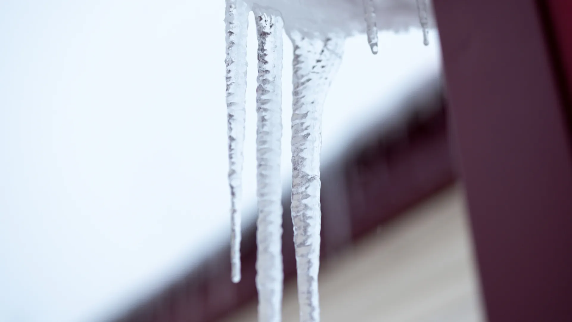 Фото: Юлия Чудинова/«Ямал-Медиа»