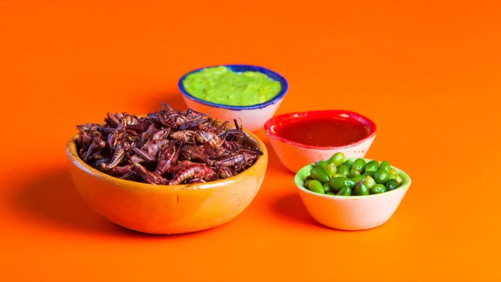 Фото: 5l/Shutterstock/Fotodom