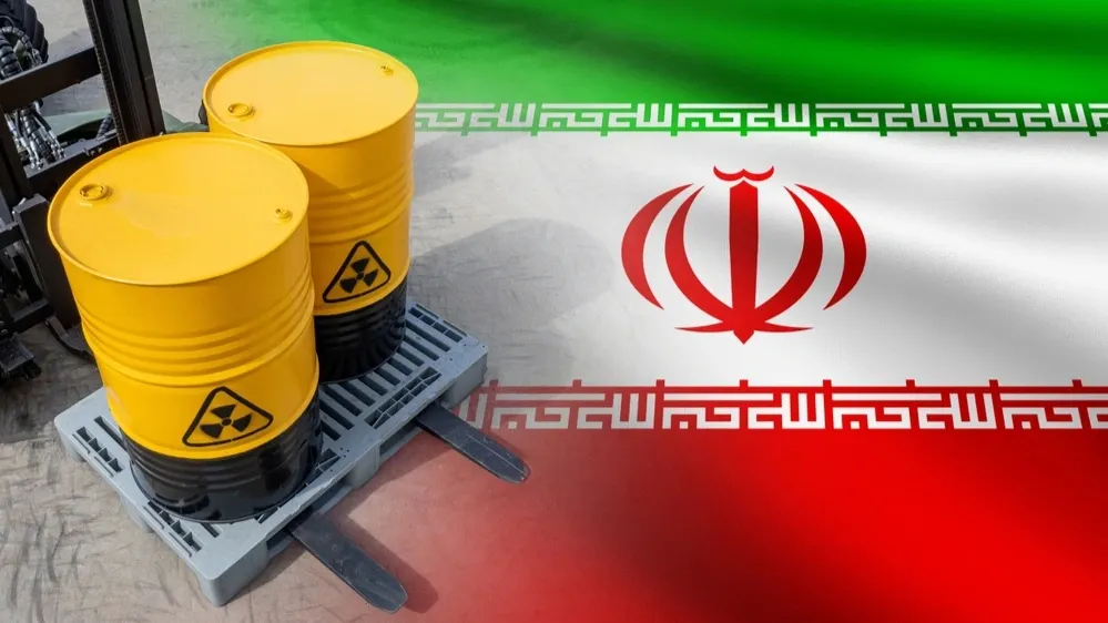 Фото: FOTOGRIN/Shutterstock/Fotodom