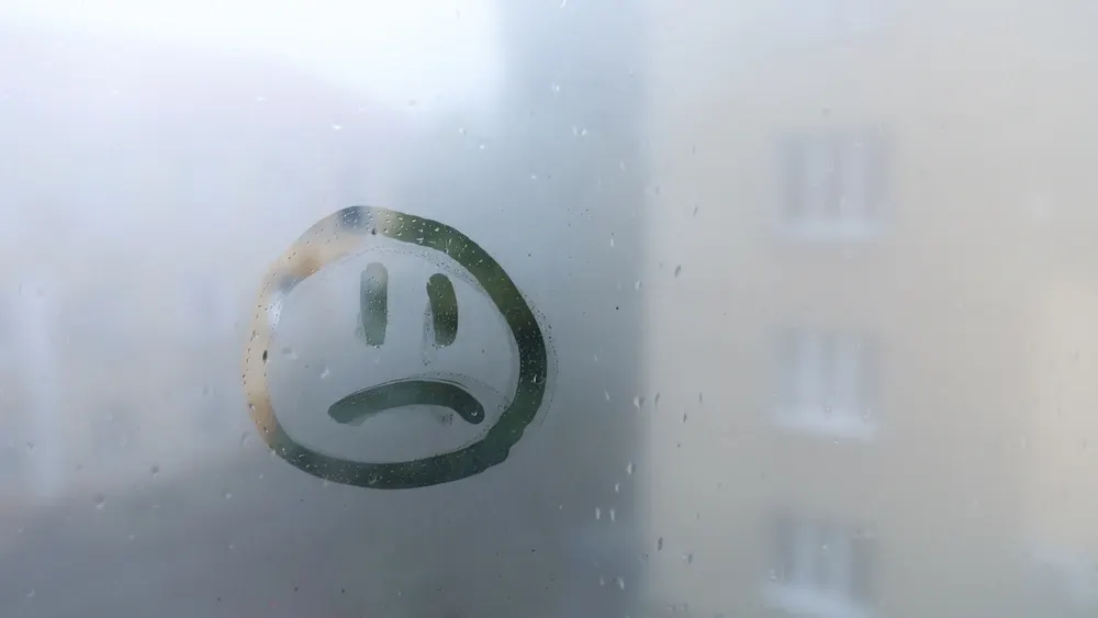 Фото: New Africa/Shutterstock/Fotodom