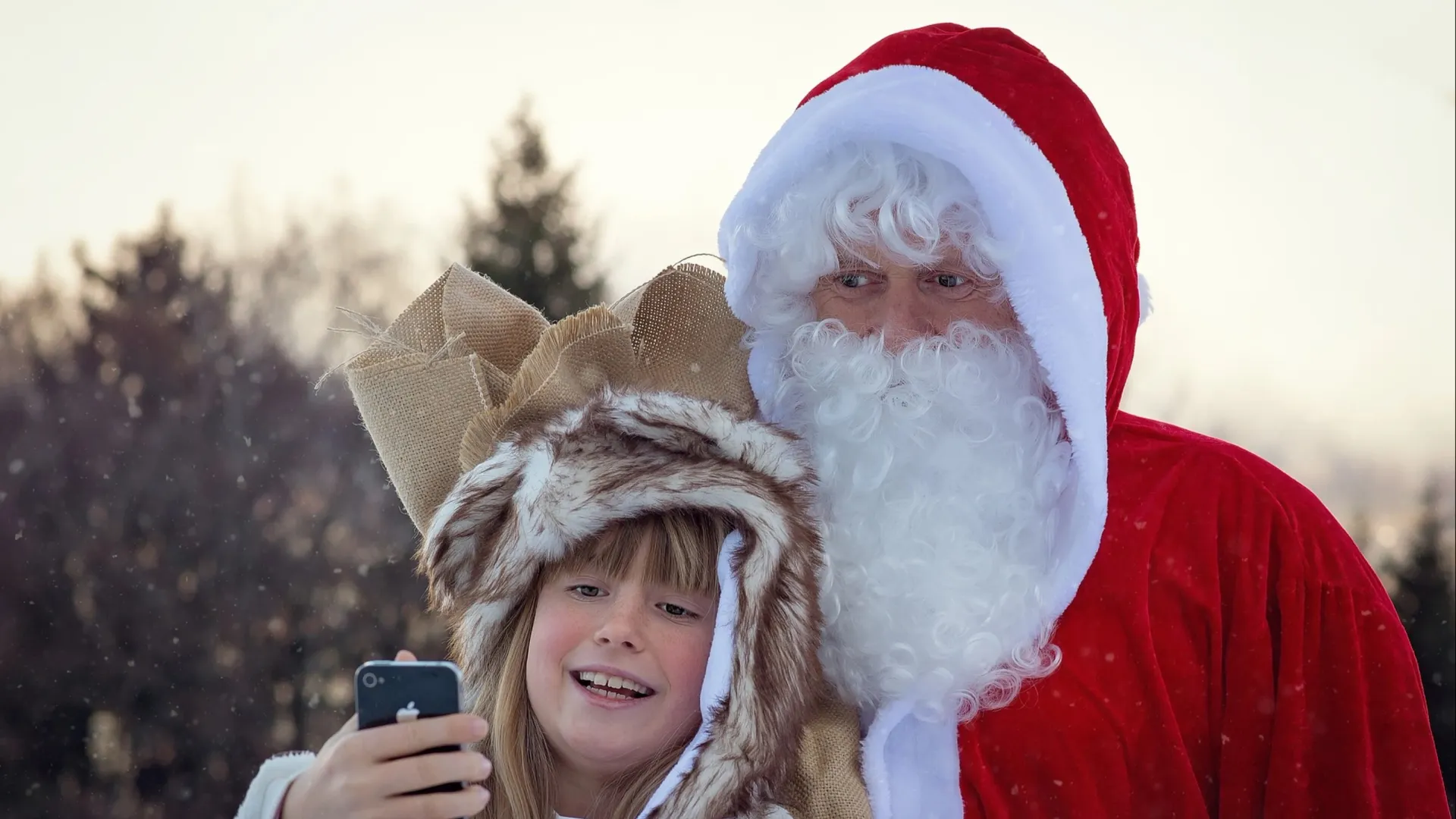 Фото: Petra/pixabay.com