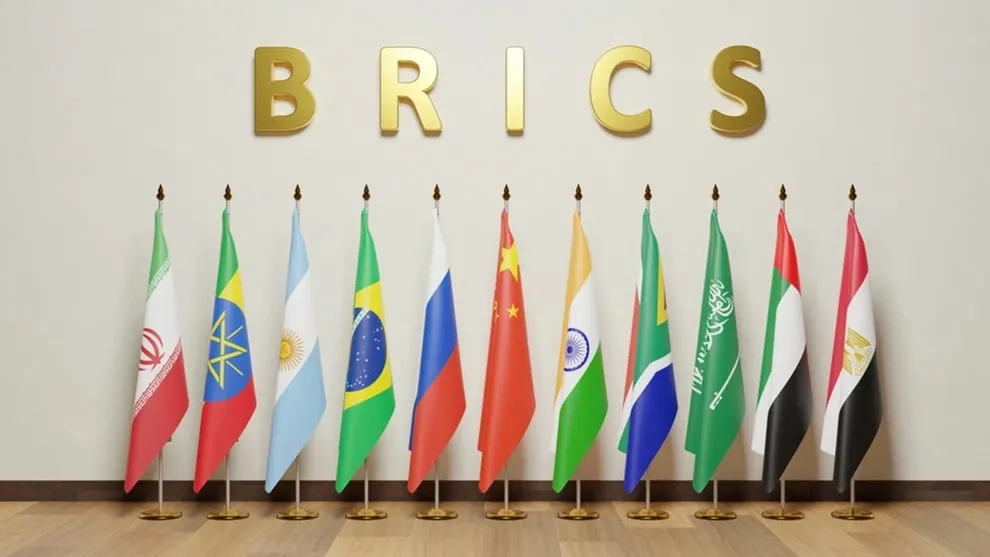 Фото: justit/Shutterstock/Fotodom