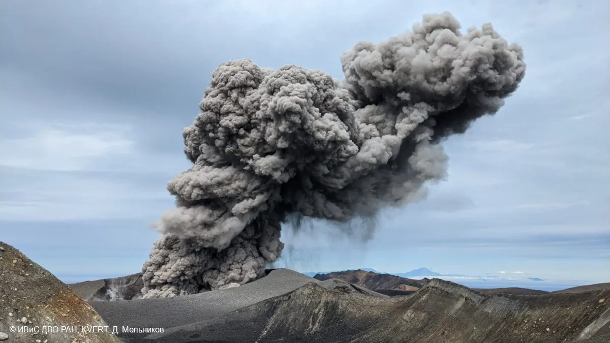 Фото: t.me/IViS_DVO_RAN