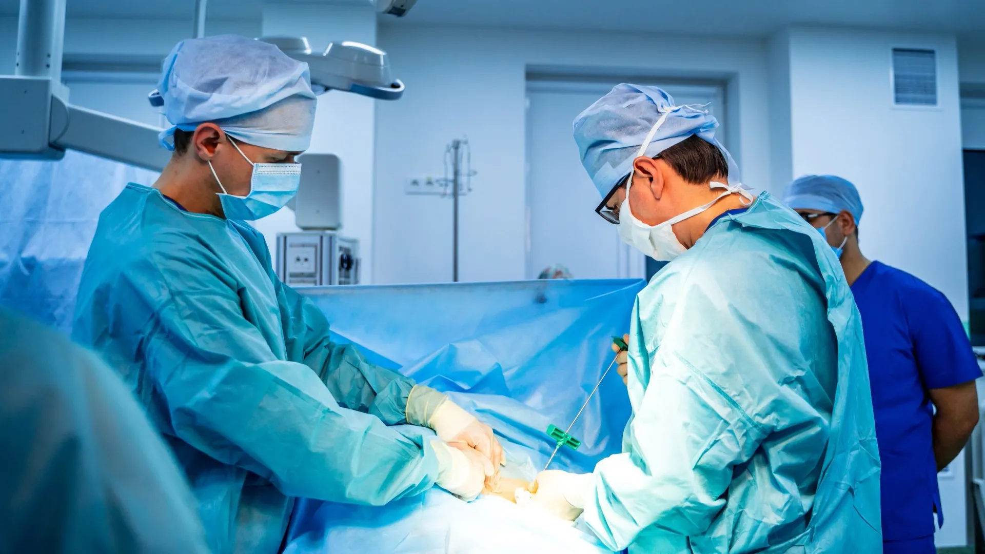 Фото: Terelyuk/Shutterstock/Fotodom