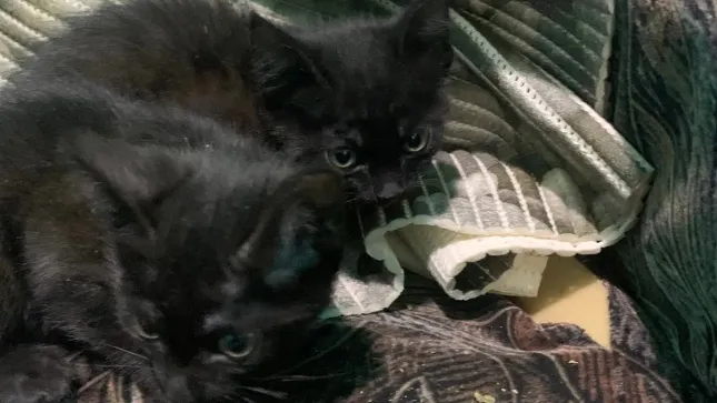 Фото: vk.com/lbtinfo