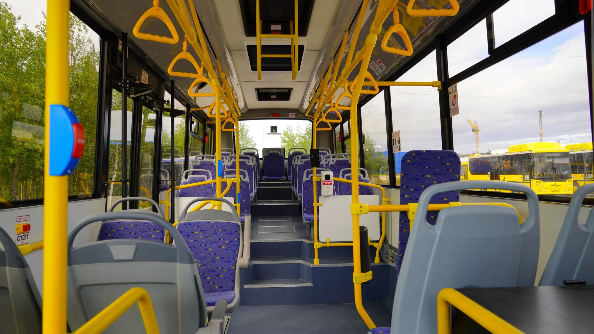 Фото: Юлия Чудинова/«Ямал-Медиа»