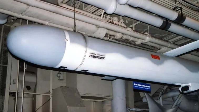 Фото: meunierd/Shutterstock/Fotodom