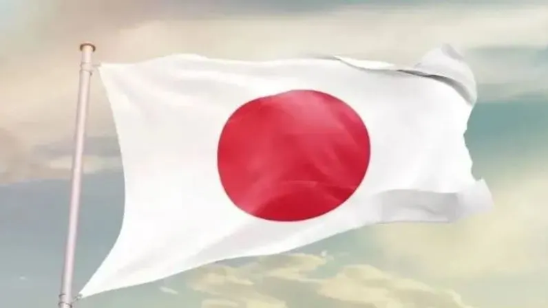 Фото: em_concepts/Shutterstock/Fotodom