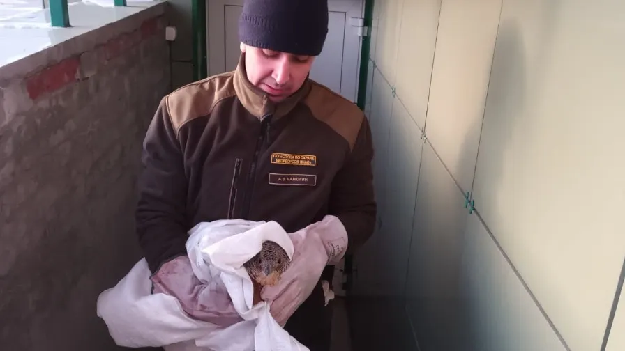 Фото: vk.com/dprryanao